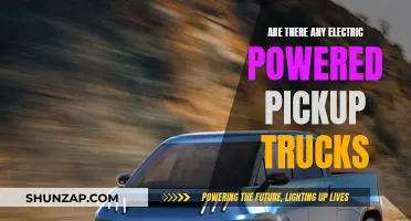 Electric Pickup Trucks: Are They Here?