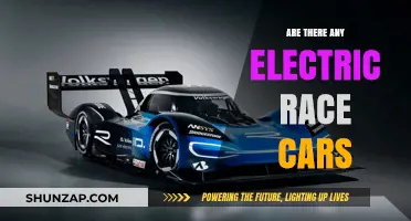 Electric Race Cars: The Future of High-Speed Motorsports?
