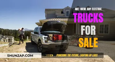 Electric Trucks: Available Options for Sale Now