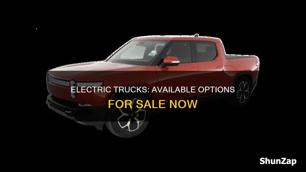 are there any electric trucks for sale