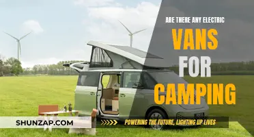 The Best Electric Vans for Camping Adventures