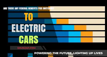 Federal Incentives for Electric Cars: What Benefits Can You Claim?