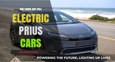 Exploring the Possibility of a Fully Electric Toyota Prius Model