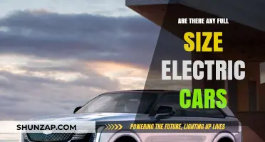 Exploring Full-Size Electric Cars: Are They Available and Practical?