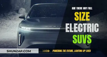 Full-Size Electric SUVs: Exploring the Current Market Options