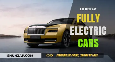Exploring the Rise of Fully Electric Cars: Are They Here?