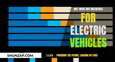 Unleash the Power: Incentives for Electric Vehicles