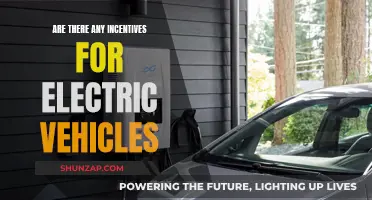 Incentivizing Electric Vehicles: Exploring Global Government Initiatives