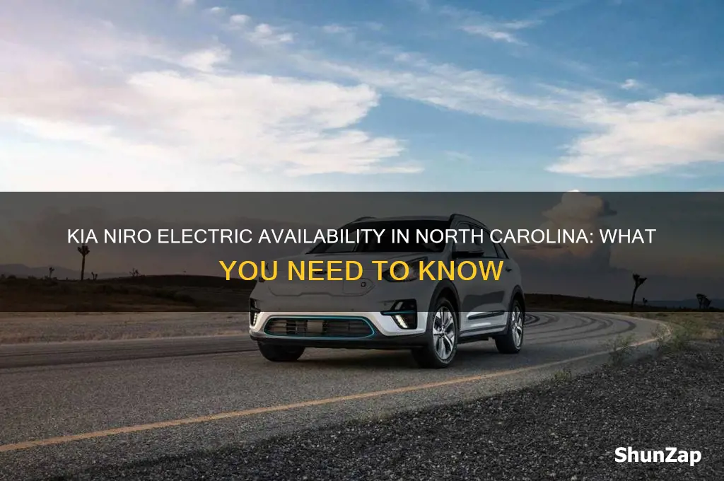 are there any kia niro electric cars in north carolina