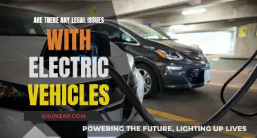 Legal Considerations: Navigating the EV Landscape