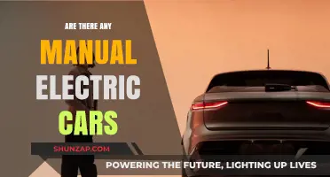 Do Manual Electric Cars Exist? Exploring Geared EV Options