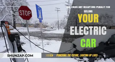 Selling Your Electric Car: Understanding Recapture Penalties and Risks