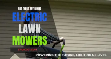 Electric Riding Lawn Mowers: The Ultimate Gardening Convenience?
