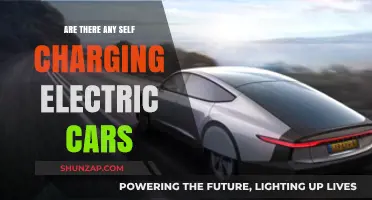Self-Charging Electric Cars: Myth or Future Reality?