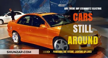 Do Any Steinmetz Electric Cars Still Exist Today?