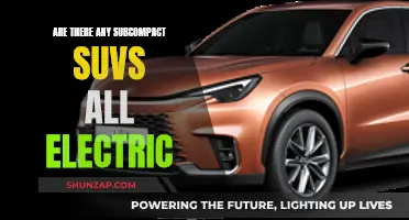 The Future is Electric: Subcompact SUVs Go Green