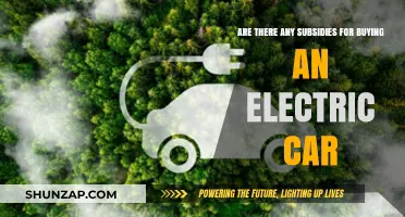 Electric Car Subsidies: Unlocking Savings for Eco-Friendly Vehicle Purchases