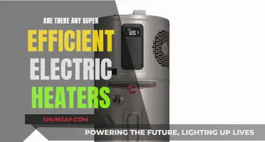 Super-Efficient Electric Heaters: Do They Exist?