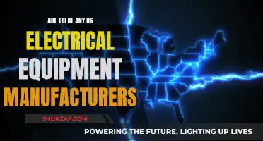 US Electrical Equipment Manufacturing: Who Are the Key Players?