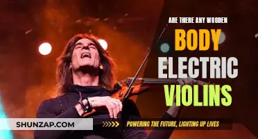 Wooden Electric Violins: Fact or Fiction?