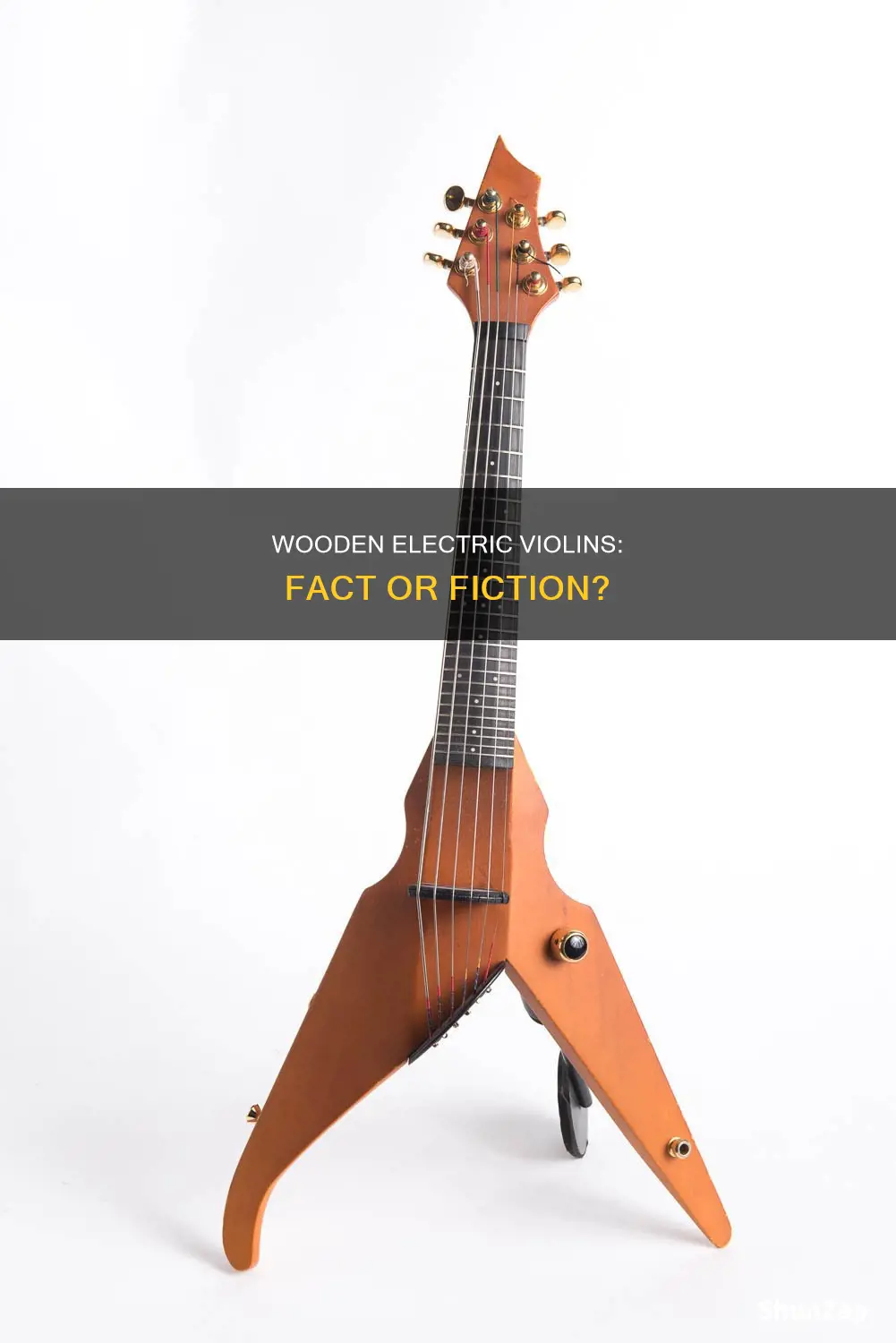 are there any wooden body electric violins