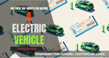 Unveiling the Perks: Electric Vehicle Credits and Incentives