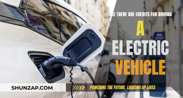 Electric Vehicle Incentives: Are There Credits for Drivers?