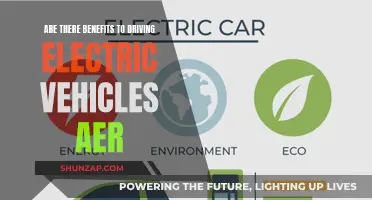 Green Commute: Unlocking Electric Vehicles' Environmental and Health Benefits