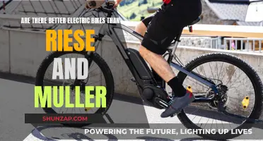 Electric Bikes: Better Options Beyond Riese and Muller