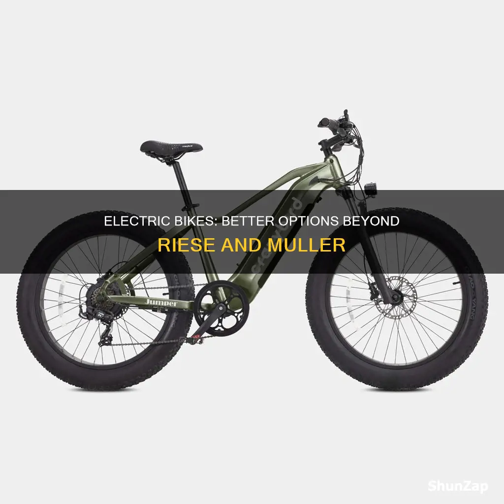 are there better electric bikes than riese and muller