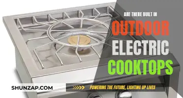 Outdoor Electric Cooktops: Built-In Options for Your Patio Kitchen