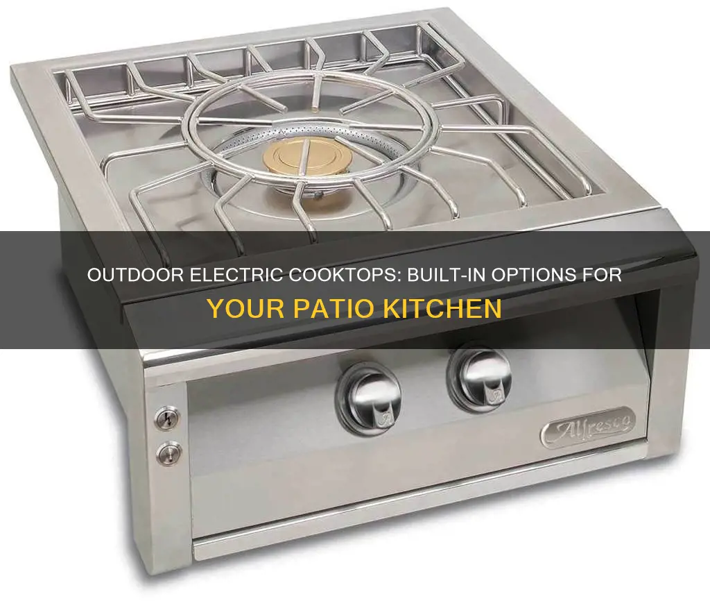 are there built in outdoor electric cooktops