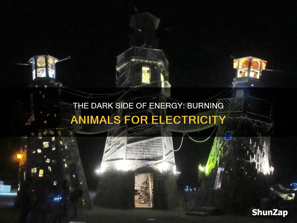 are there companies that burn animals for electricity