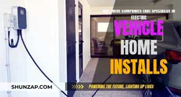 Specialized EV Home Installers: Are Companies Offering This Service?