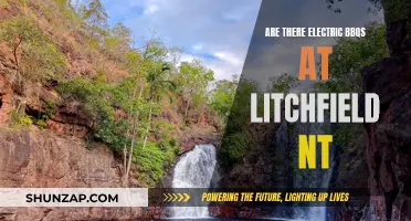 The Best Electric BBQs at Litchfield, NT