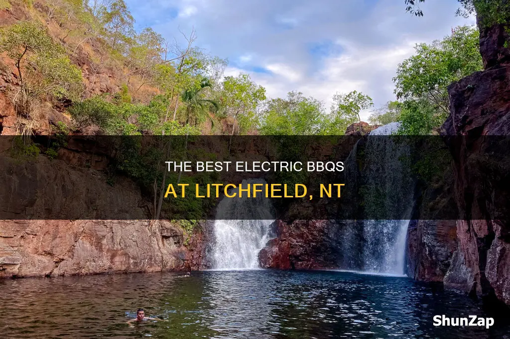 are there electric bbqs at litchfield nt
