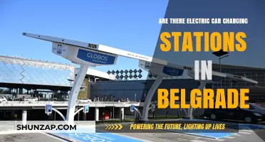 Exploring Belgrade's Electric Car Charging Stations: Availability and Locations