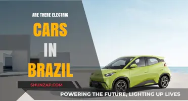 Electric Cars in Brazil: Current Status and Future Prospects