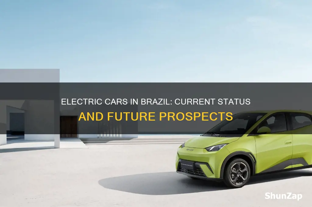 are there electric cars in brazil