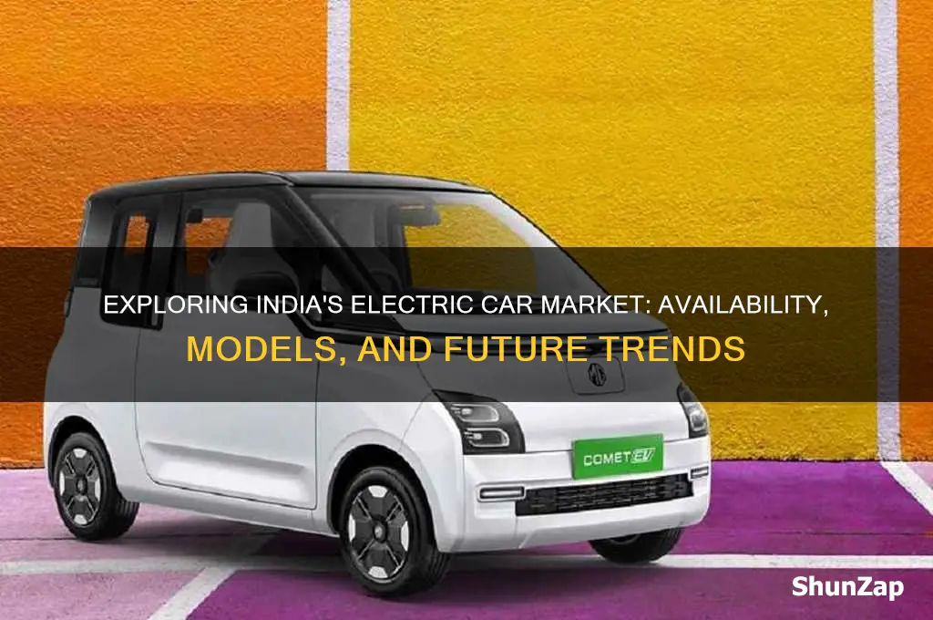 are there electric cars in india