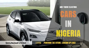 Exploring Nigeria's Electric Car Scene: Availability, Challenges, and Future Prospects