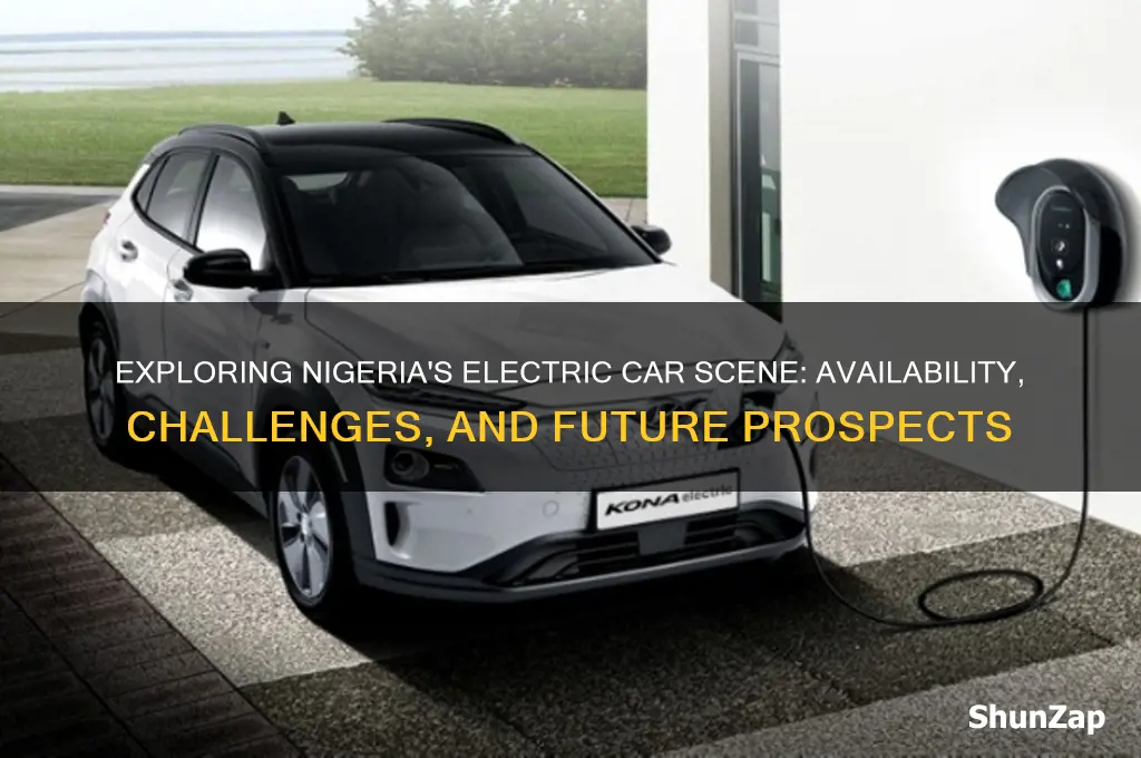 are there electric cars in nigeria