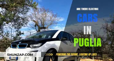 Exploring Puglia: Are Electric Cars a Common Sight in the Region?