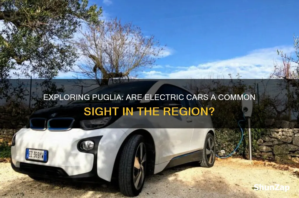 are there electric cars in puglia