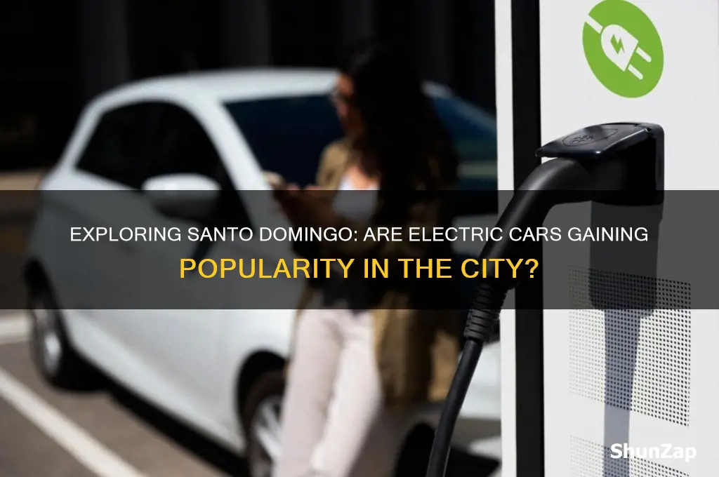 are there electric cars in santo domingo