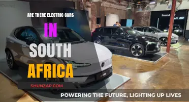 Exploring South Africa's Electric Car Scene: Availability and Adoption Trends