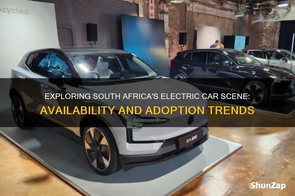 are there electric cars in south africa