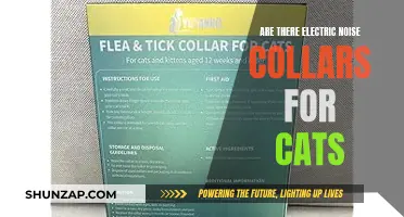 Electric Noise Collars for Cats: Are They Effective?