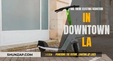 Electric Scooters in Downtown LA: What's the Deal?