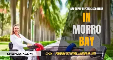 Exploring Morro Bay: Electric Scooters and More